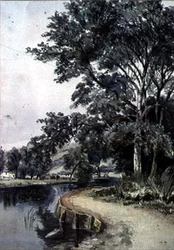 Maisema